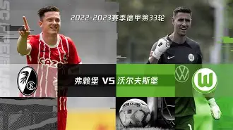 沃尔夫斯堡对法兰克福比分结果