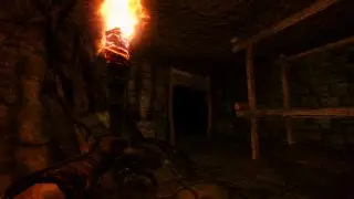 半岛体育-开局托雷斯的我要重振德国足球无防盗